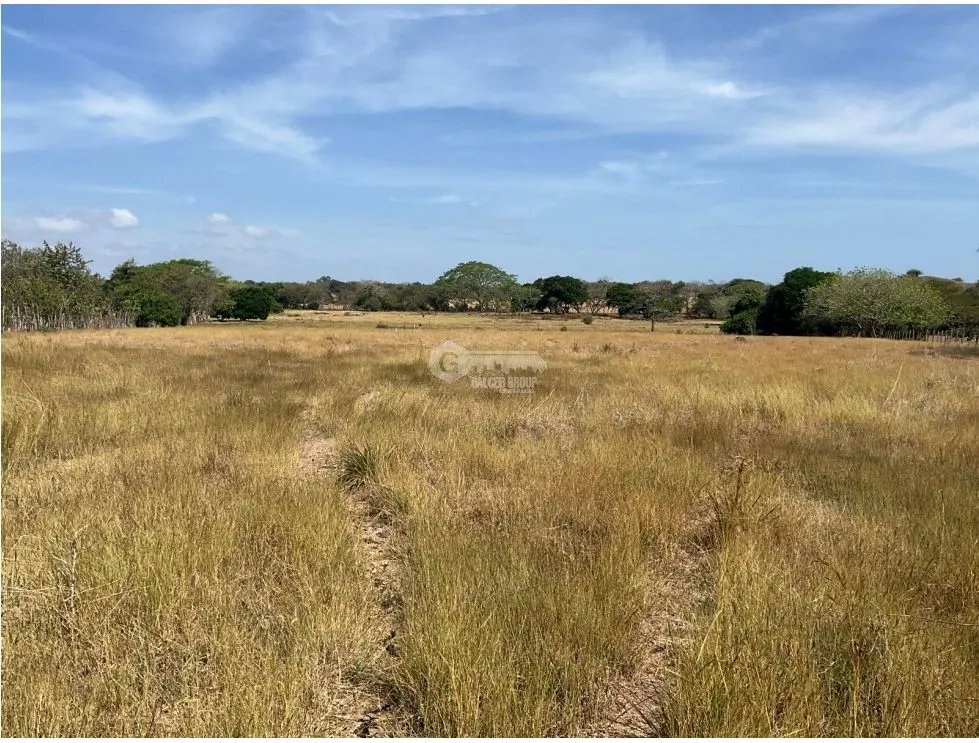 LAS TABLAS / FINCA / 3 HECTAREAS / POZO DE AGUA