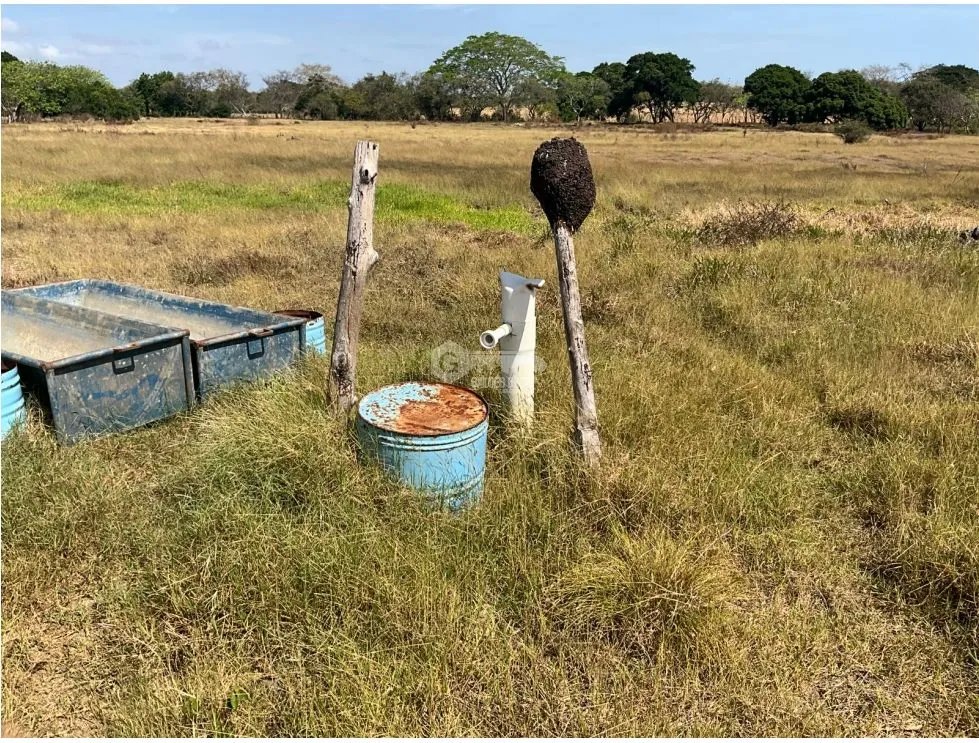LAS TABLAS / FINCA / 3 HECTAREAS / POZO DE AGUA