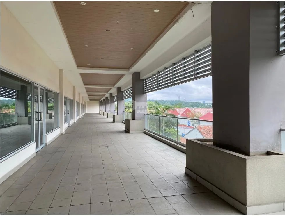 LOCAL COMERCIAL / PASEO ALBROOK / PLANTA ALTA / 246M / TERRAZA