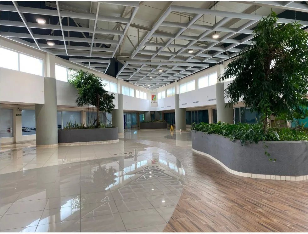 LOCAL COMERCIAL / PASEO ALBROOK / PLANTA ALTA / 246M / TERRAZA