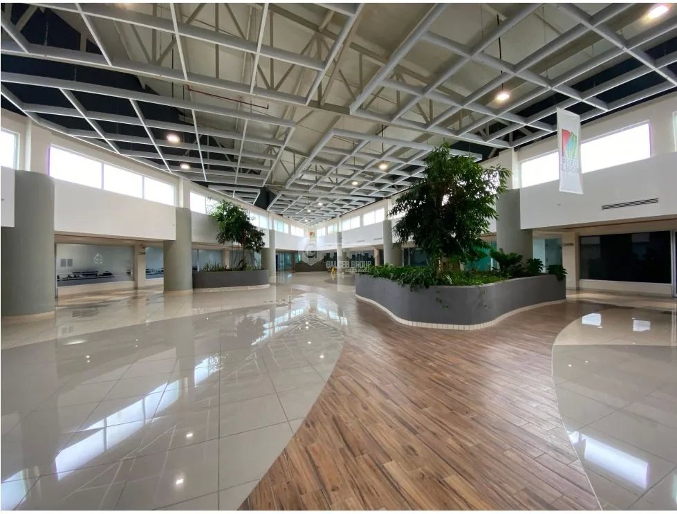 ALBROOK / LOCAL COMERCIAL / PASEO  ALBROOK / PLANTA BAJA / 1649M