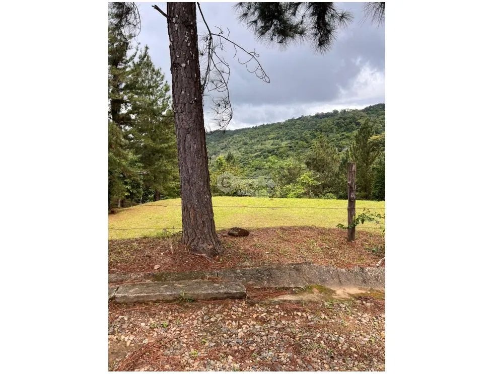 Building Lot for sale in Cerro Azul