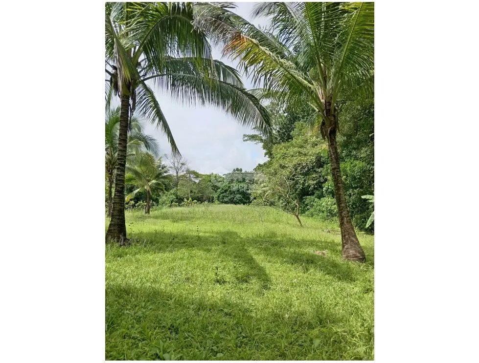 TERRENO CON CASA / SAN MARTIN  / 4,565M2