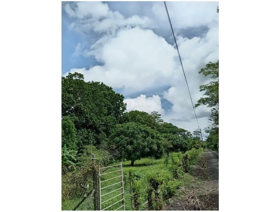 Building Lot for sale in Pacora