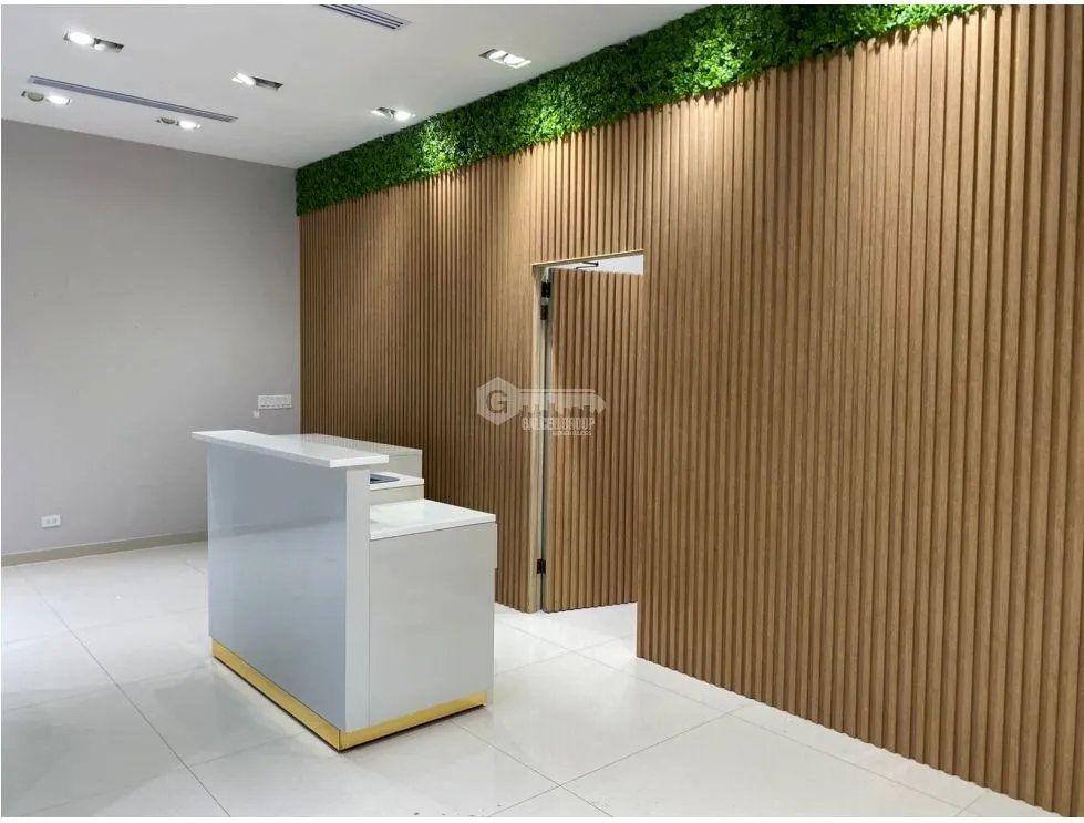 Commercial Space for rent in Costa del Este