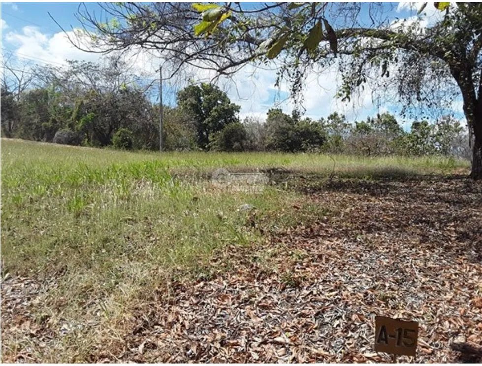 TERRENO / SAN CARLOS / PLAYA CORONA / 1112 M / CALLE ASFALTADA