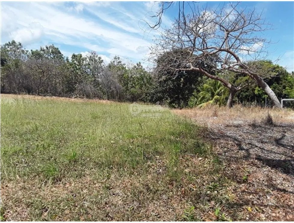 Building Lot for sale in San Carlos