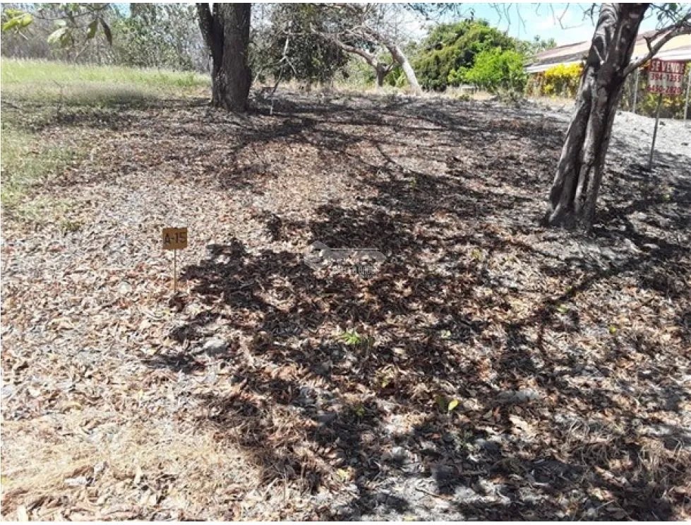 Building Lot for sale in San Carlos