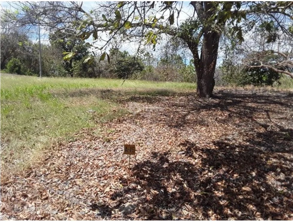 Building Lot for sale in San Carlos