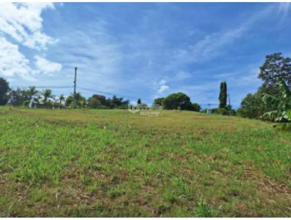 SAN CARLOS / TERRENO / 10433 M2 / CASA OBRA GRIS / CALLE ASFALTADA