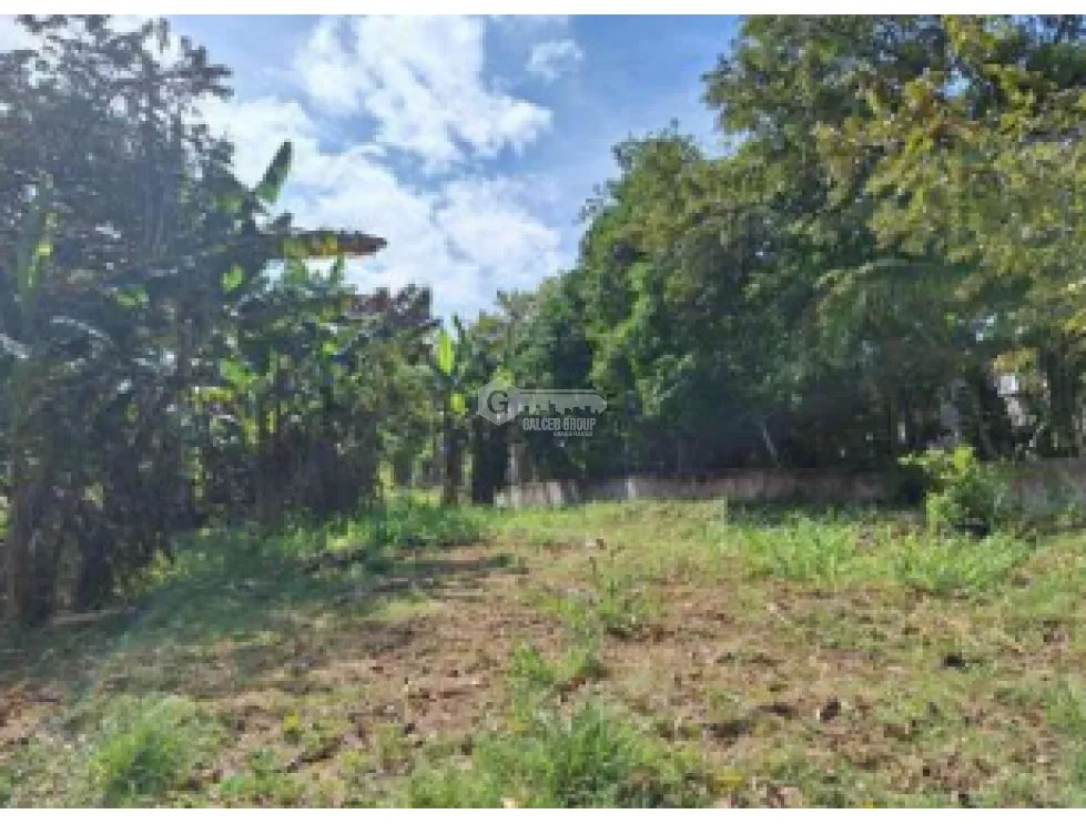 SAN CARLOS / TERRENO / 10433 M2 / CASA OBRA GRIS / CALLE ASFALTADA