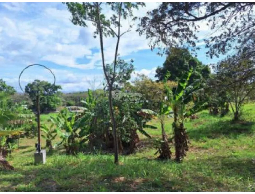 SAN CARLOS / TERRENO / 10433 M2 / CASA OBRA GRIS / CALLE ASFALTADA