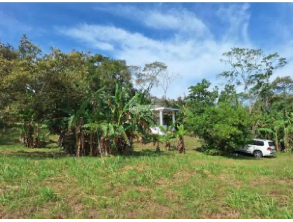 Building Lot for sale in San Carlos
