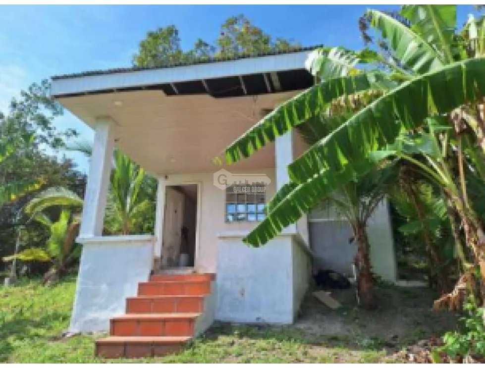 Building Lot for sale in San Carlos