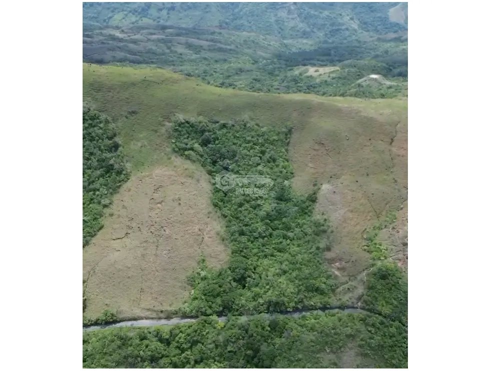 LA LAGUNA / SAN CARLOS / 7.7 HECTAREAS / VIA PRINCIPAL DE ACCESO JC