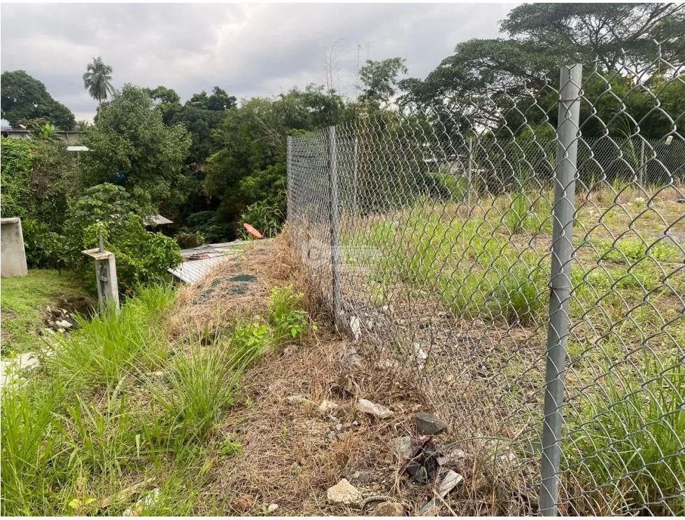 TERRENO / TOCUMEN / CABUYA / 460M / VIA PRINCIPAL / ORILLA CALLE JC
