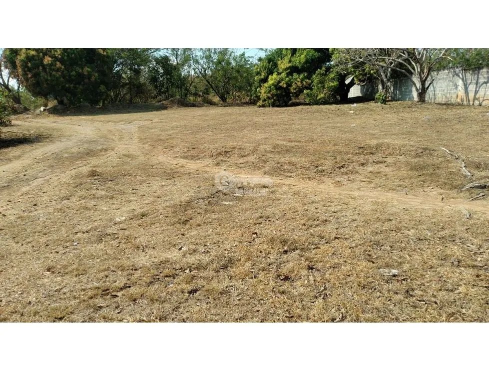 TERRENO / CHAME / GORGONA / 2000M / PLANO /JC