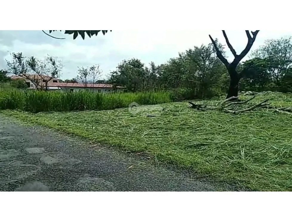 TERRENO / CHAME / GORGONA / 2000M / PLANO /JC