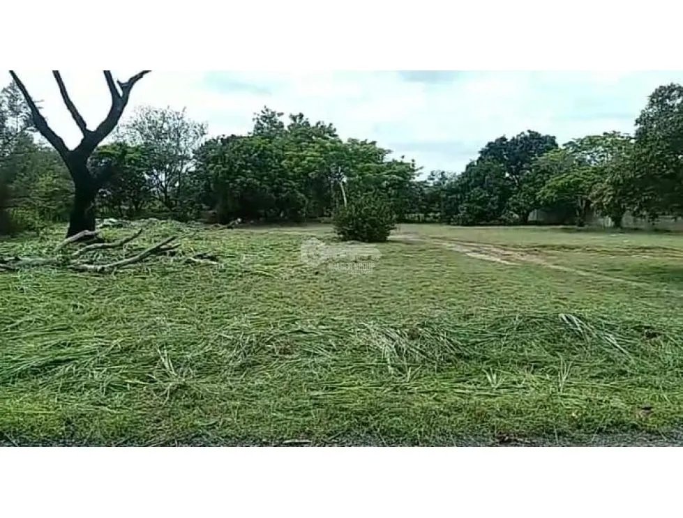 TERRENO / CHAME / GORGONA / 2000M / PLANO /JC