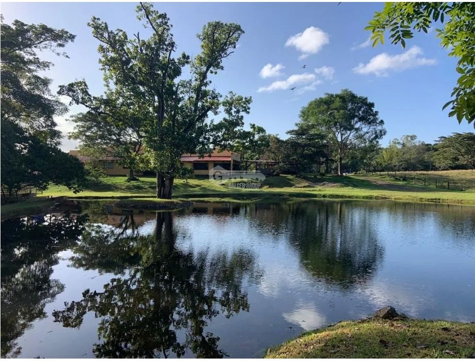 Land/Farm for sale in Panama