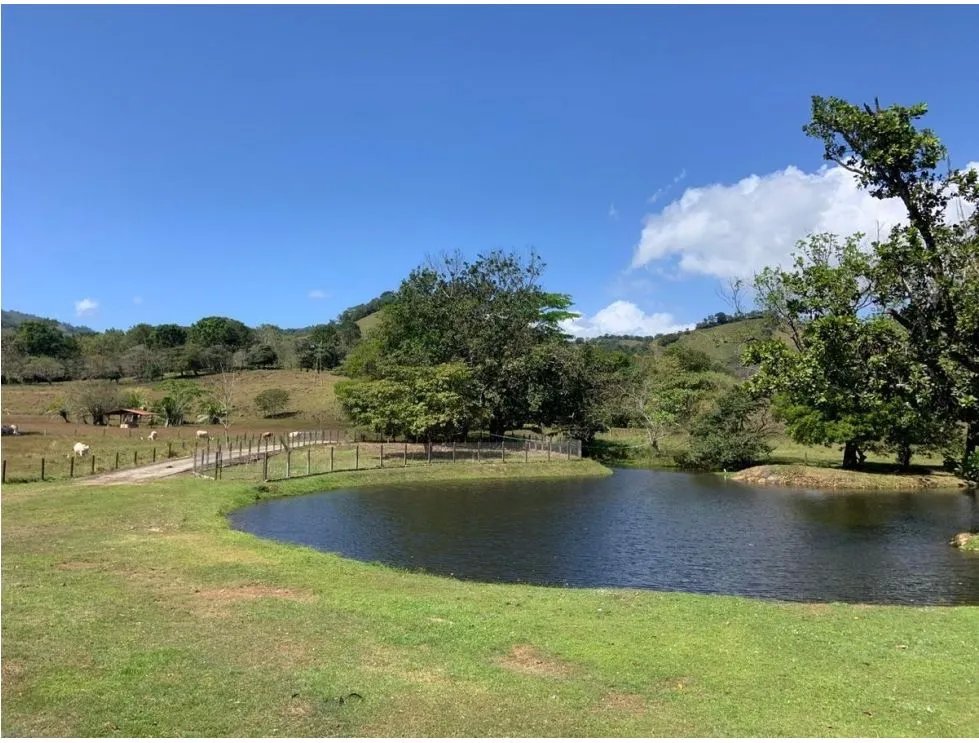 Land/Farm for sale in Panama