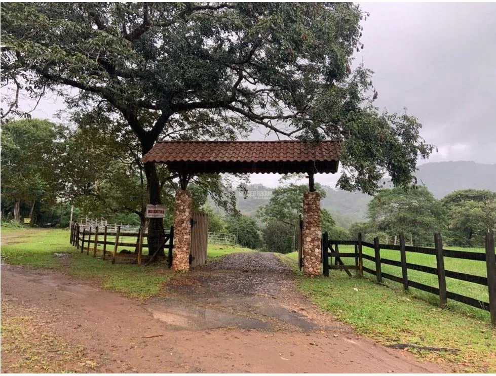 Land/Farm for sale in Panama