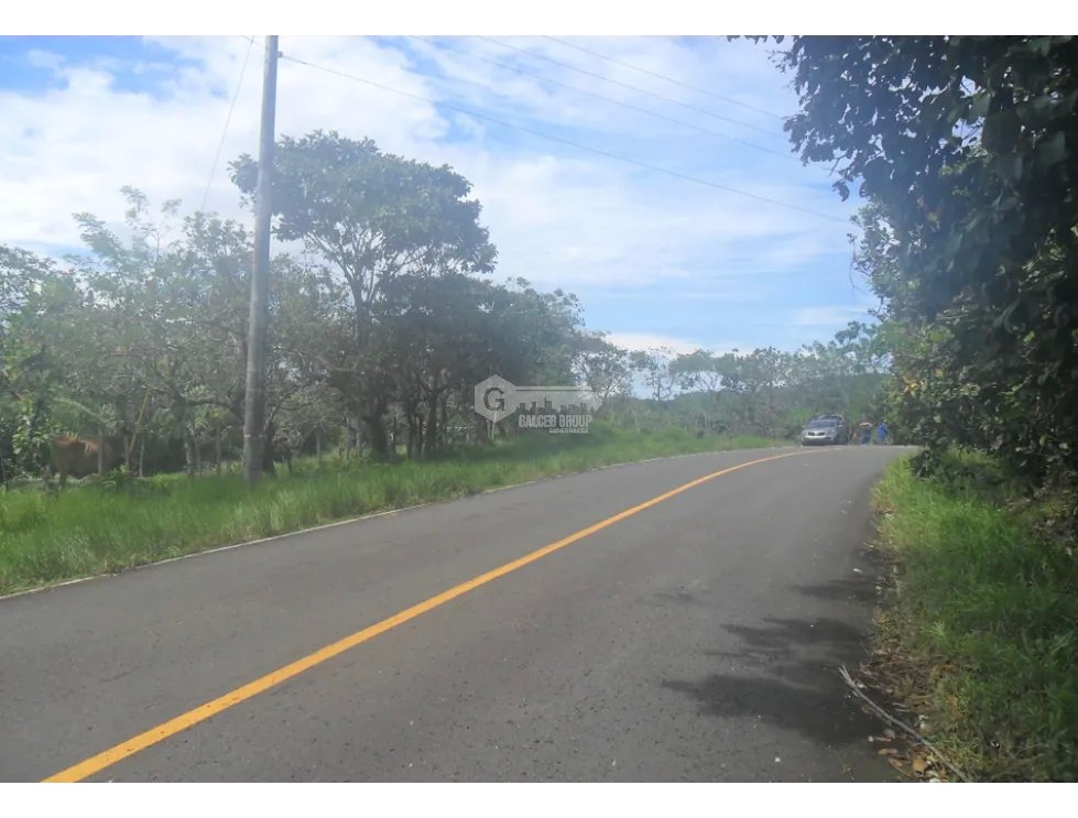 COLON / COSTA ARRIBA / NOMBRE DE DIOS / FINCA / 110 HECTAREAS