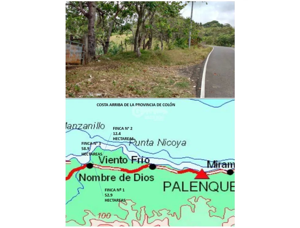 COLON / COSTA ARRIBA / NOMBRE DE DIOS / FINCA / 110 HECTAREAS