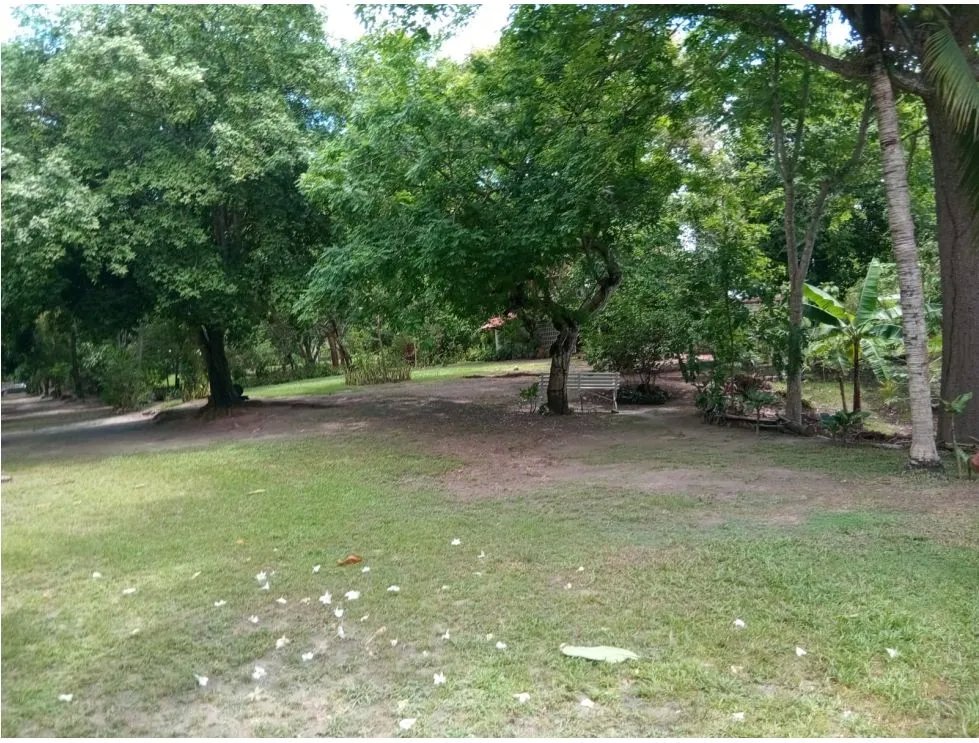Land/Farm for sale in San Carlos