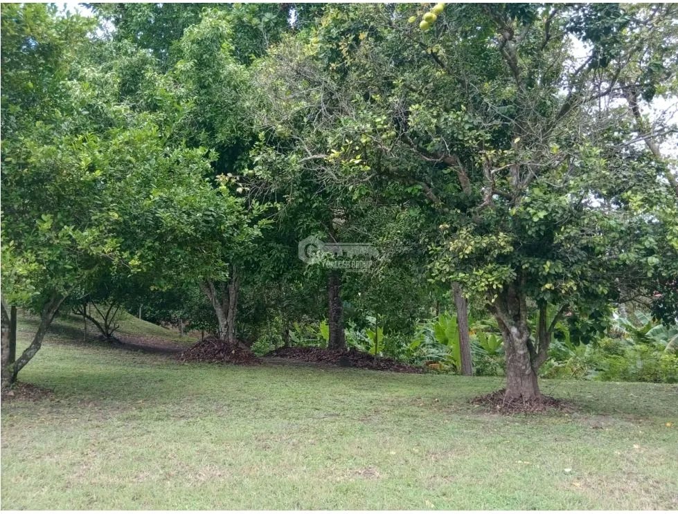 Land/Farm for sale in San Carlos
