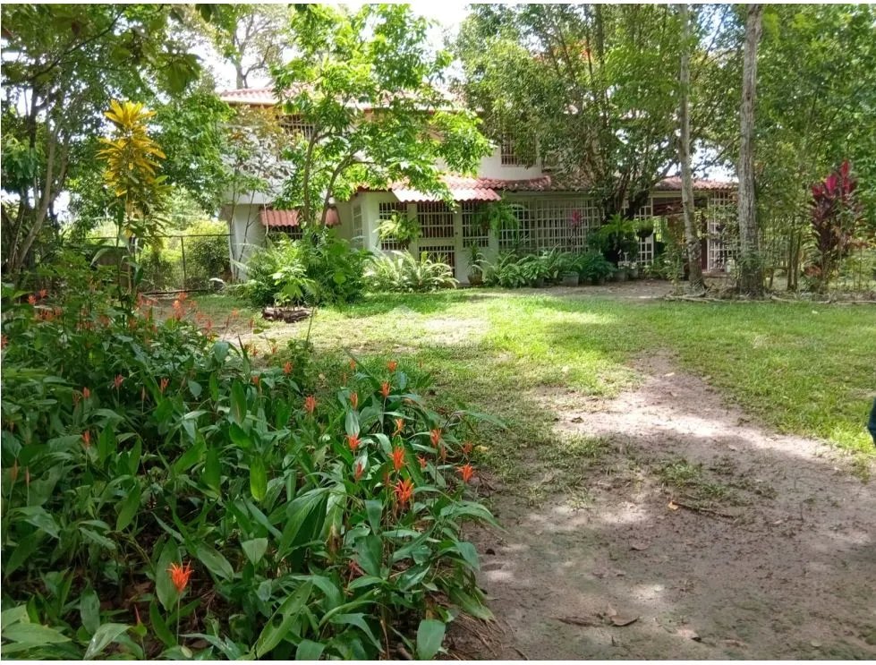 Land/Farm for sale in San Carlos
