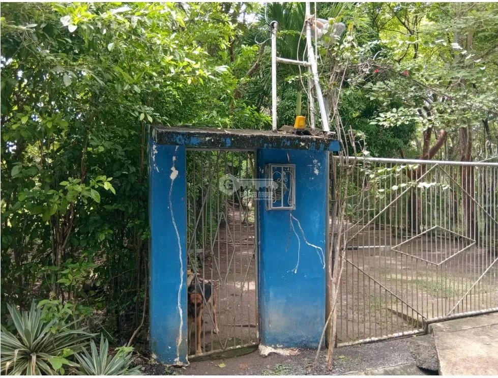 Land/Farm for sale in San Carlos