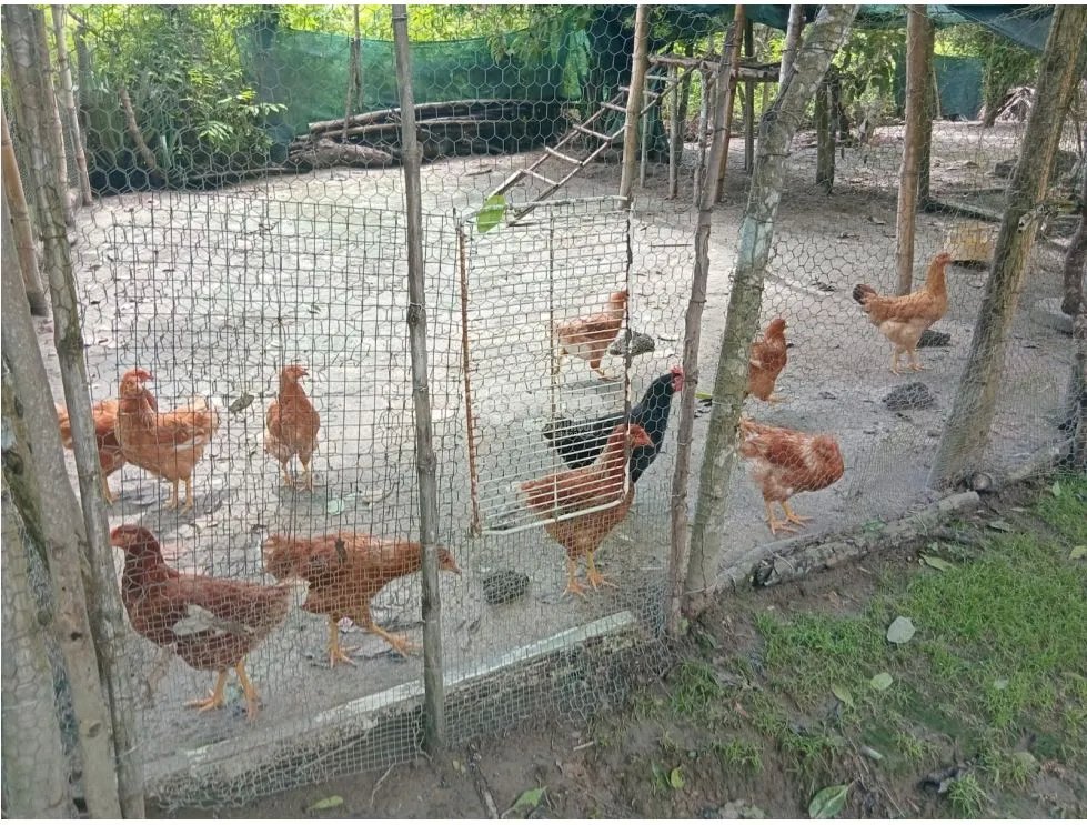 Land/Farm for sale in San Carlos