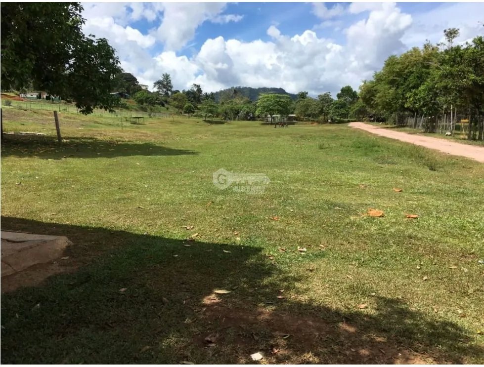 COCLE / PENONOME / 146 HECTAREAS / FINCA GANADERA / RIOS / QUEBRADAS