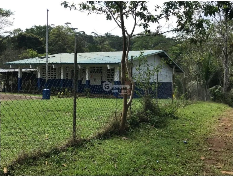 COCLE / PENONOME / 146 HECTAREAS / FINCA GANADERA / RIOS / QUEBRADAS