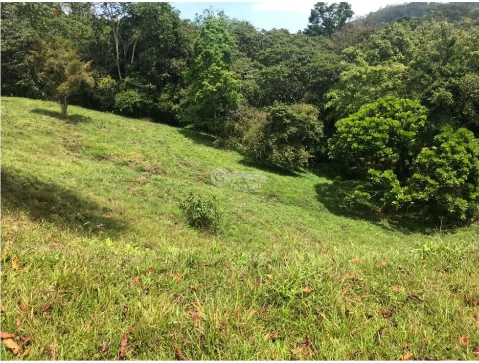 COCLE / PENONOME / 146 HECTAREAS / FINCA GANADERA / RIOS / QUEBRADAS