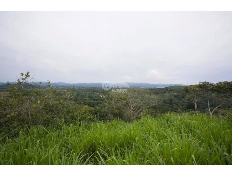 CHILIBRE / FINCA GANADERA /  51 HECTAREAS / CON 2 CASAS