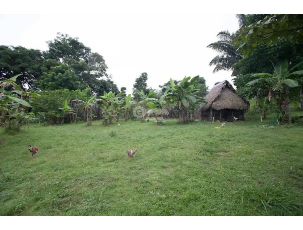 CHILIBRE / FINCA GANADERA /  51 HECTAREAS / CON 2 CASAS