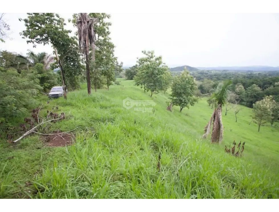 CHILIBRE / FINCA GANADERA /  51 HECTAREAS / CON 2 CASAS