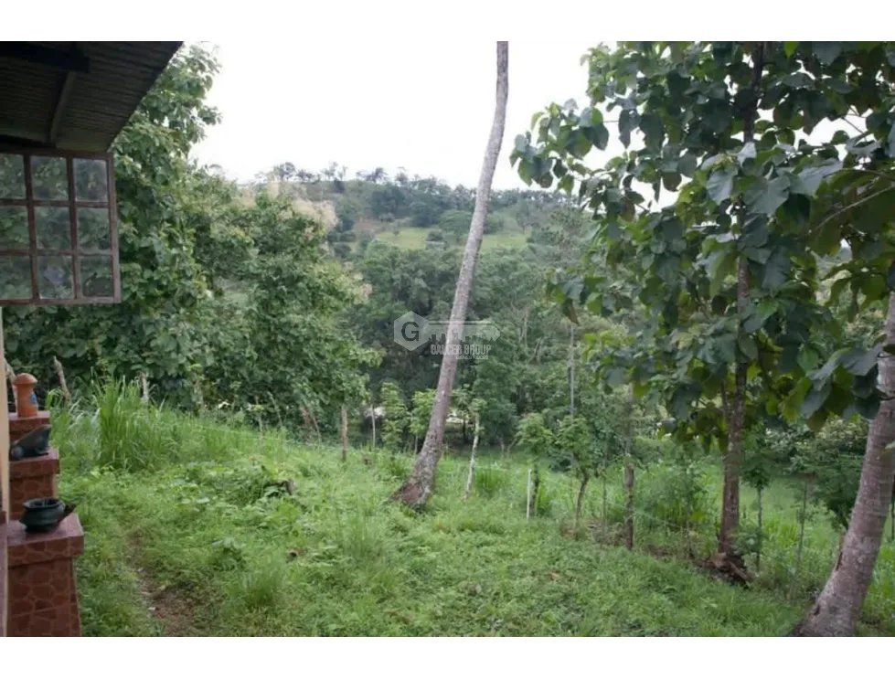 CHILIBRE / FINCA GANADERA /  51 HECTAREAS / CON 2 CASAS