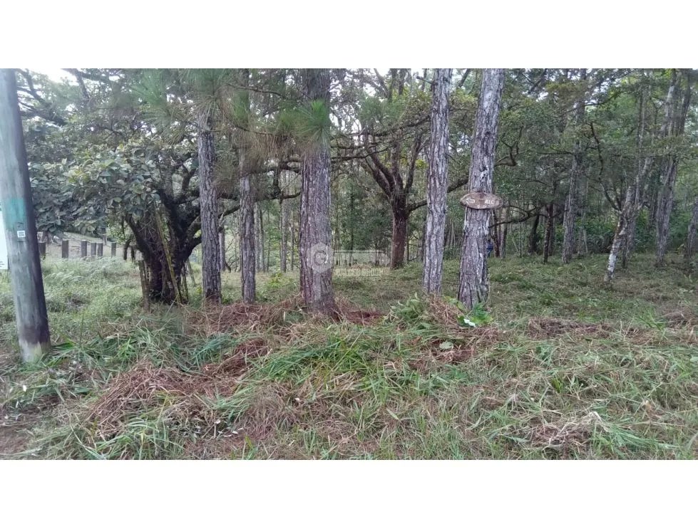 TERRENO / CERRO AZUL / 1178 M2 / CLIMA FRIO