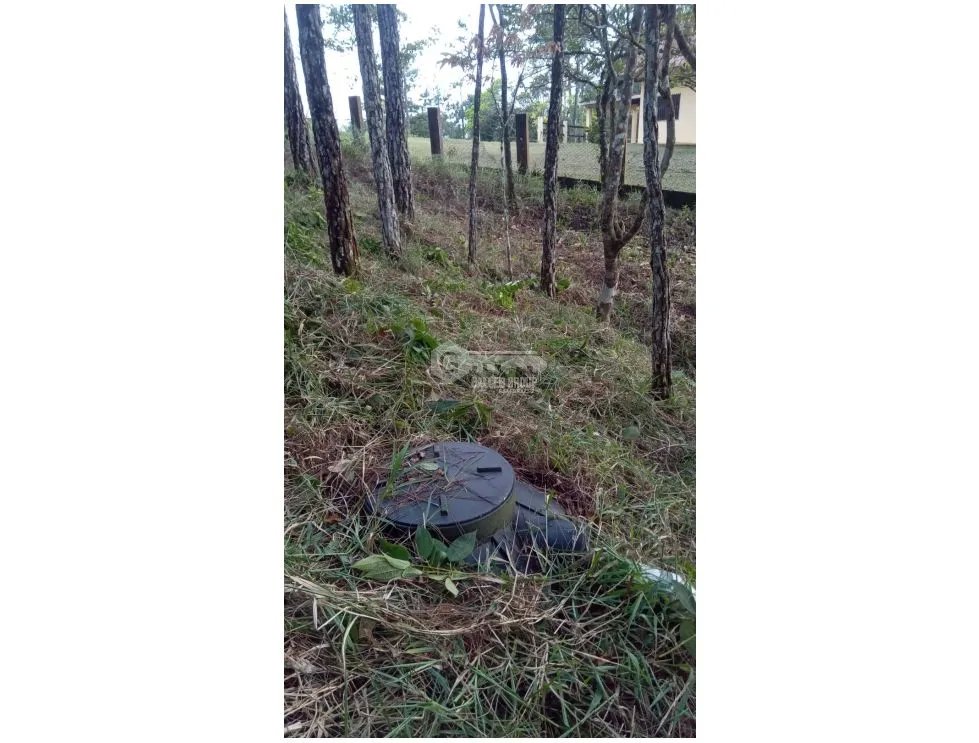 TERRENO / CERRO AZUL / 1178 M2 / CLIMA FRIO