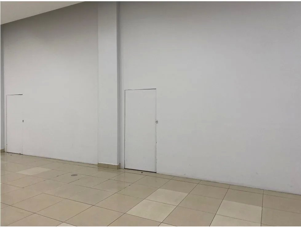 ARRAIJAN / WESTLAND MALL / LOCAL COMERCIAL / 50 M / PLANTA BAJA