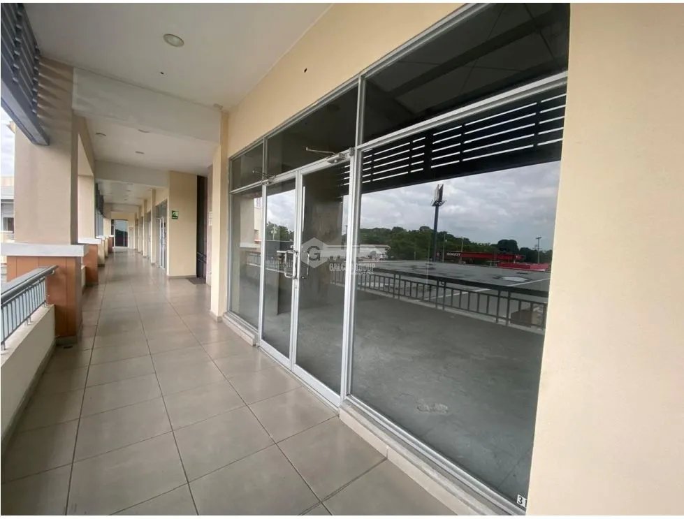 PEDREGAL / LOCAL COMERCIAL / PLAZA TERRANOVA / 174M / PLANTA ALTA /J
