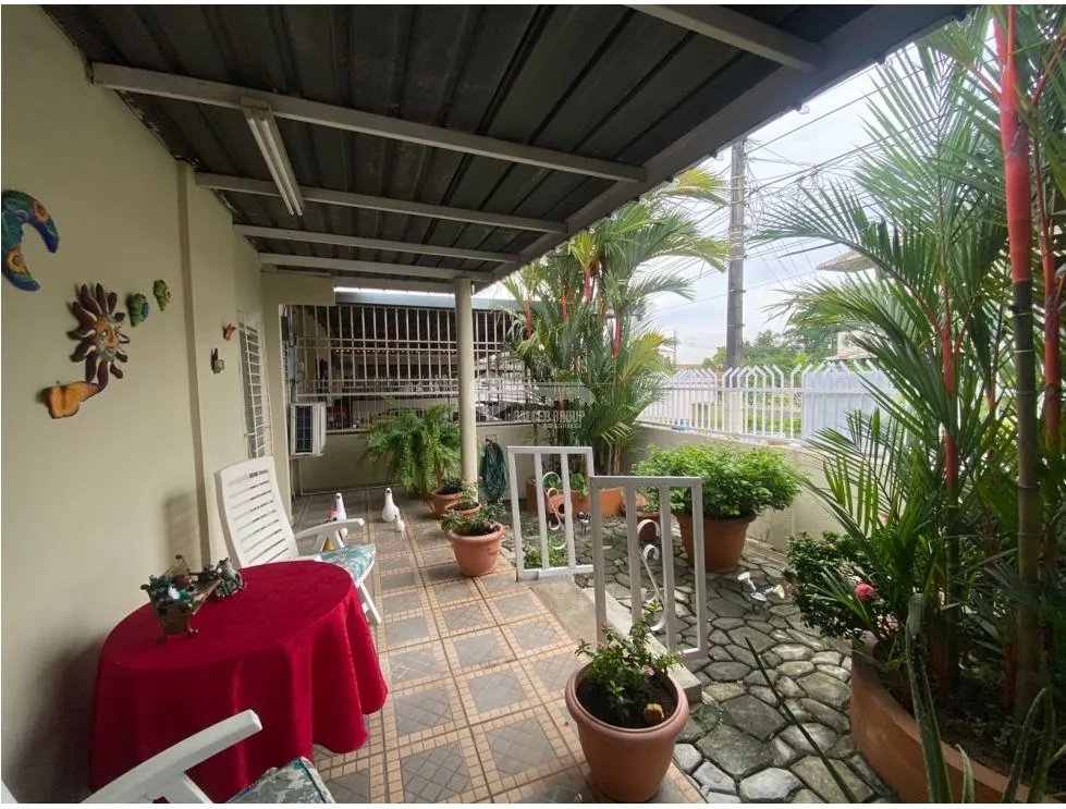 SAN ANTONIO / 225M / 5 HABITACION / ANEXO / TERREZA