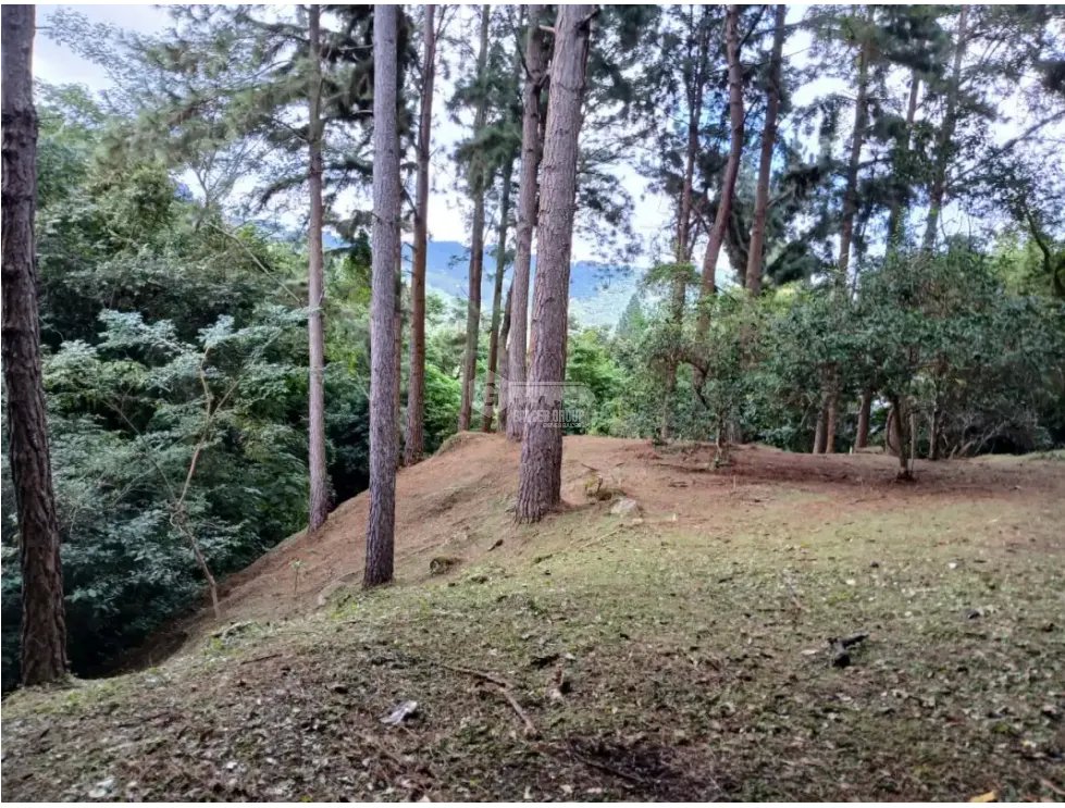 Building Lot for sale in Chame