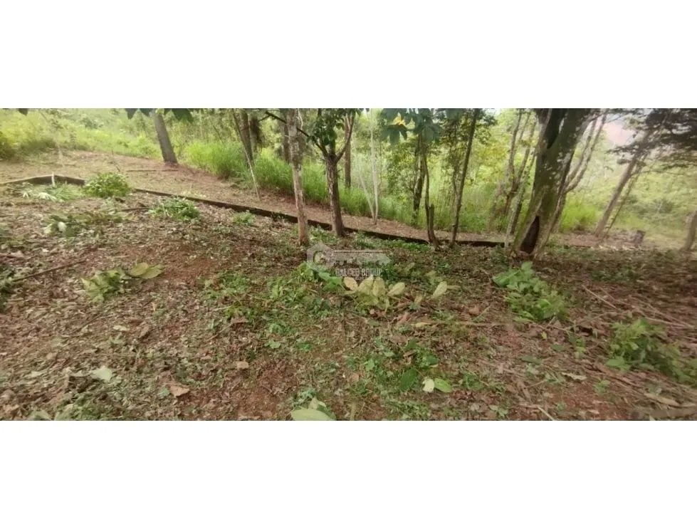 CERRO AZUL / TERRENO / 7 HECTAREAS / VISTA A LA CIUDAD Y MAR