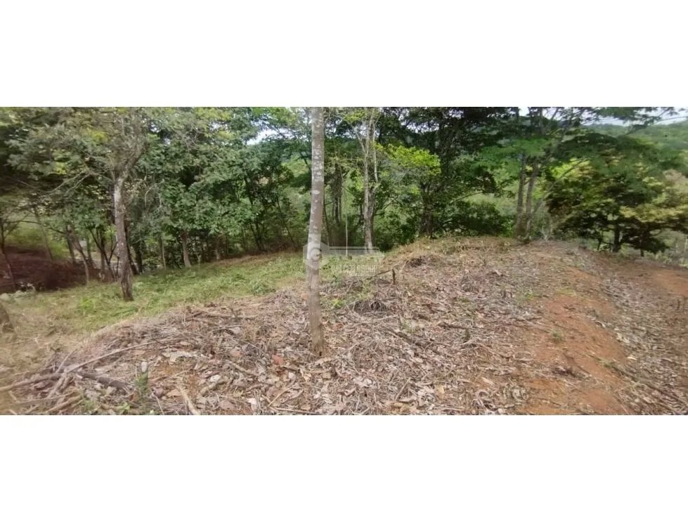 CERRO AZUL / TERRENO / 7 HECTAREAS / VISTA A LA CIUDAD Y MAR