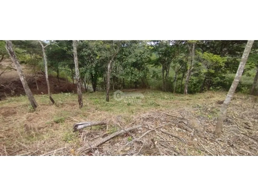 CERRO AZUL / TERRENO / 7 HECTAREAS / VISTA A LA CIUDAD Y MAR