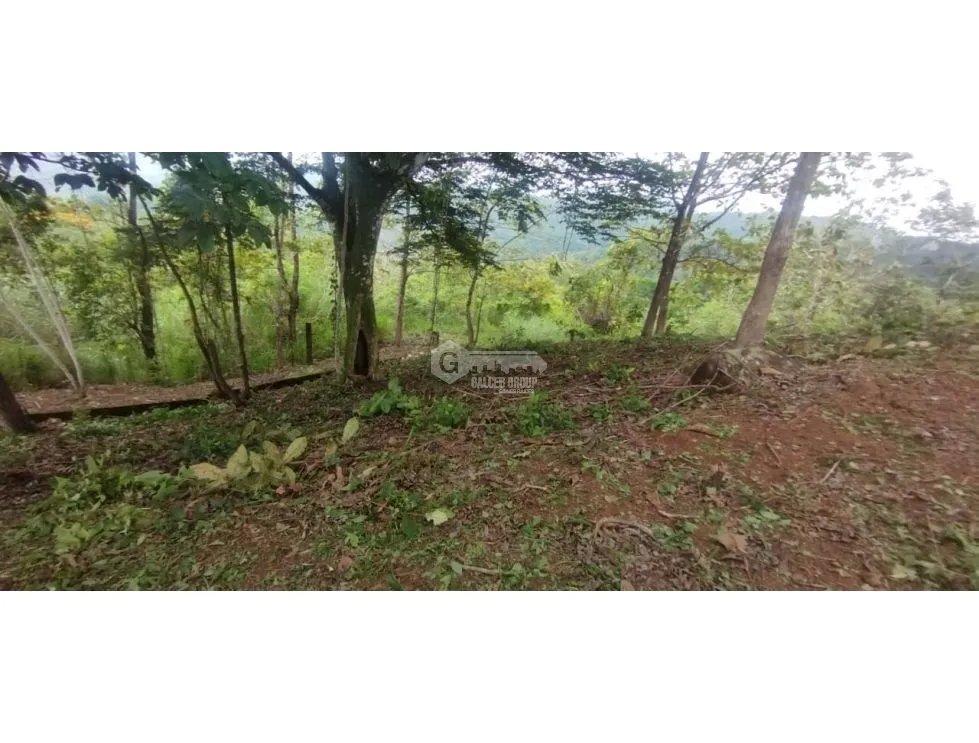 CERRO AZUL / TERRENO / 7 HECTAREAS / VISTA A LA CIUDAD Y MAR